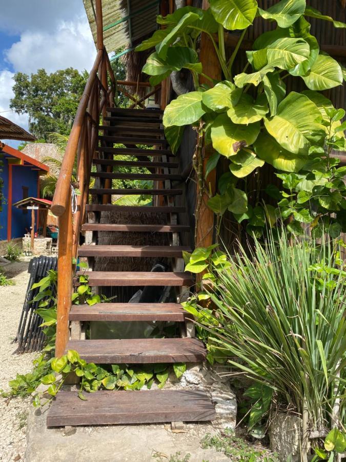 Malinche Cafe In Coba Tulum Cobá Exterior foto