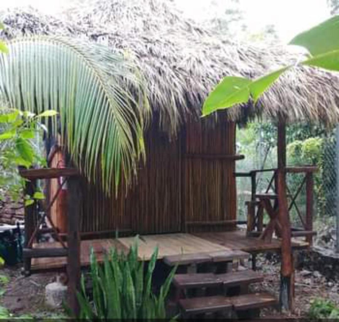 Malinche Cafe In Coba Tulum Cobá Quarto foto